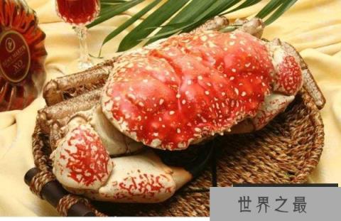世界上最大的食用蟹，皇帝蟹