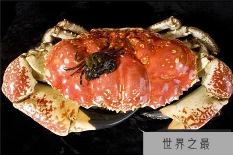 世界上最大的食用蟹，皇帝蟹