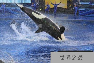 10大已灭绝的顶级食肉动物