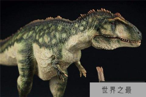 世界上最矮的食肉恐龙：巨兽龙身高只有4米
