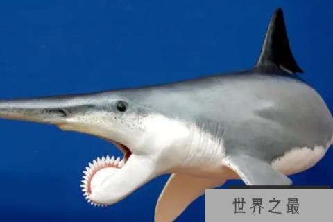 远古时期十大最凶猛的动物