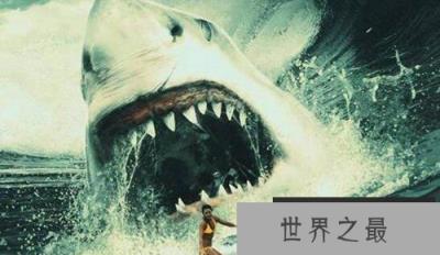史上牙齿最长的鲨鱼，巨牙鲨牙齿最大有17厘米