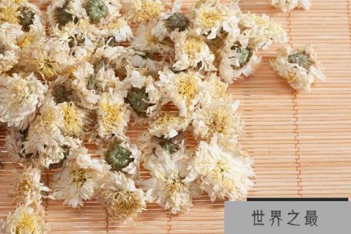 菊花的产地是哪里最好？我国十大优质菊花产地