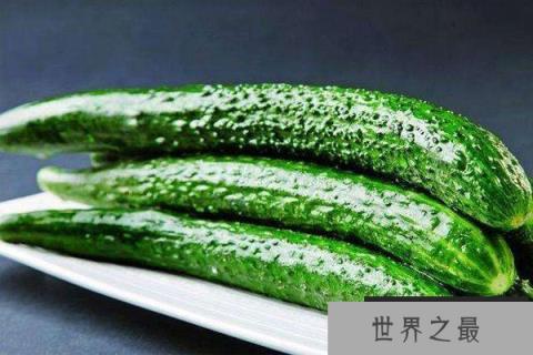 中国哪里的黄瓜最出名？我国十大黄瓜优质产地