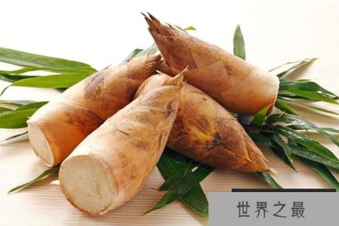 中国十大优质竹笋产地，全国哪里的竹笋最出名
