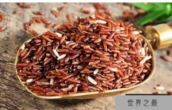 中国十大优质红米产地：井冈红米占据榜首