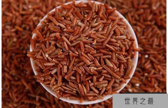 中国十大优质红米产地：井冈红米占据榜首