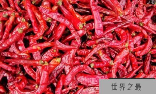 中国最大的青椒产地在哪？盘点国内十大青椒产地