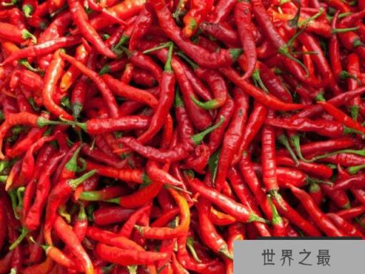 中国最大的青椒产地在哪？盘点国内十大青椒产地