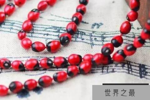 世界上最毒的种子：鸡母珠毒素0.3毫克就会致人死亡