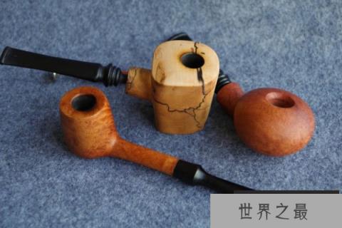 世界上最不怕火烧的树木：海松可做烟斗