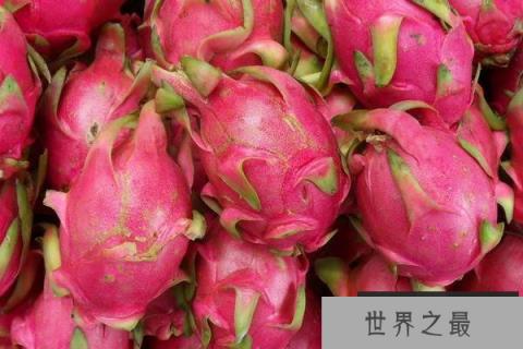 火龙果最新品种哪个好？口感最好的火龙果品种