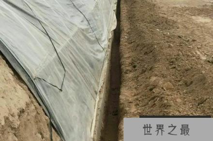 冬天温室大棚保暖的十种方法：大棚冬天怎么保暖？