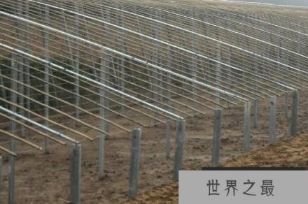冬天温室大棚保暖的十种方法：大棚冬天怎么保暖？