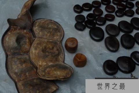 世界上最大的豆子