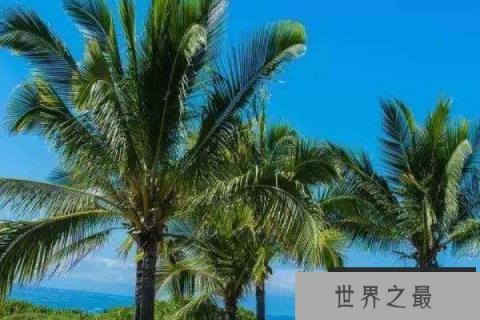 自己会动的植物有哪些？10种会动的植物