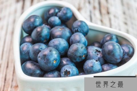蓝莓品种排行榜，蓝莓排名前十的品种