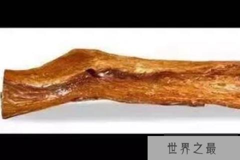 世界上最贵的木材：海南黄花梨价格高达4256万元