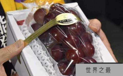 世界上最贵的葡萄诞生：浪漫红宝石一串130万日元
