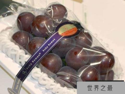 世界上最贵的葡萄诞生：浪漫红宝石一串130万日元