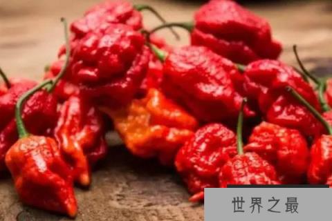 卡罗莱纳死神辣椒