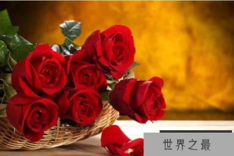 十大适合插花的花，切花月季排榜首，第六在冬季最常见