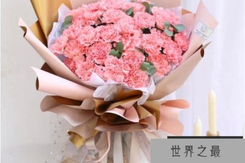 十大适合插花的花，切花月季排榜首，第六在冬季最常见