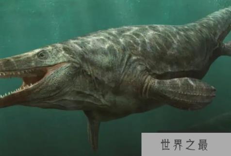 十大海洋霸主史前排名，巨齿鲨最为强悍，邓氏鱼仅排第三