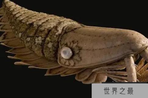 已灭绝的十大最强怪物