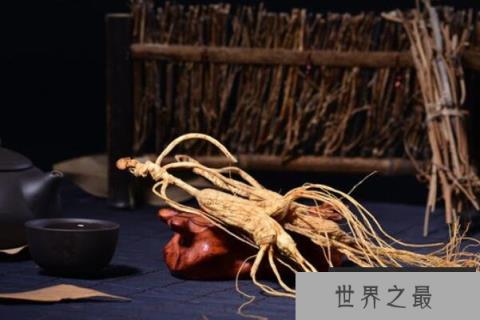 抗衰老的十大植物药材