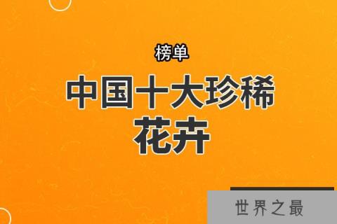 中国十大珍稀花卉 丹霞梧桐上榜，第一被誉为“茶族皇后”