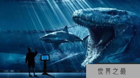 世界上最凶猛的鲸鱼,梅尔维尔鲸已经灭绝 世界上最凶猛的鲸鱼,梅尔维尔鲸已经灭绝