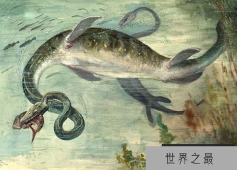 世界十大恐怖海怪——伊拉索龙