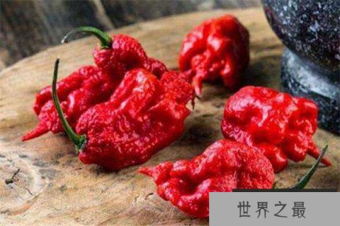 世界上最辣的辣椒