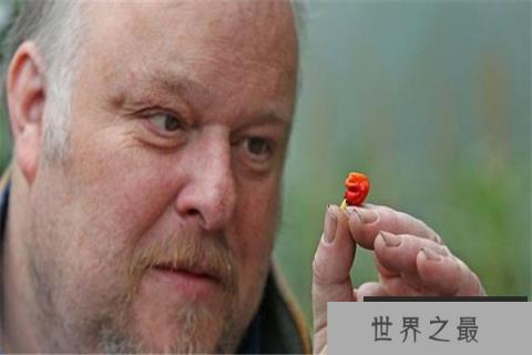 世界上最辣的辣椒