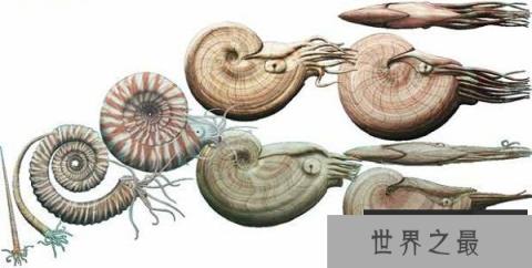 奥陶纪十大恐怖生物