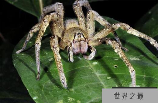 /uploads/allimg/c230220/1CD53I104240-131538.jpg /uploads/allimg/c230220/1CD53I104240-131538.jpg