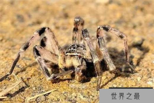 /uploads/allimg/c230220/1CD53I104240-131538.jpg /uploads/allimg/c230220/1CD53I104240-131538.jpg