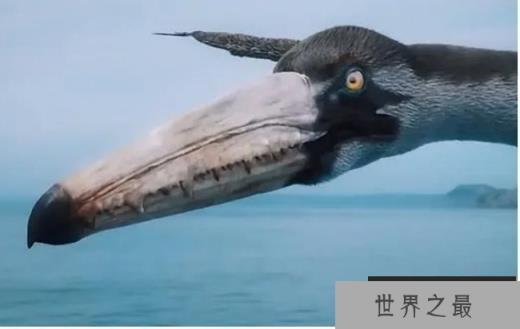 世界历史上十大最大动物 巨脉蜻蜓体长75厘米(已经灭绝)