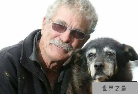 世界寿命最长的狗狗活了30年相当于人类133岁(名叫麦基) 世界寿命最长的狗狗活了30年相当于人类133岁(名叫麦基)