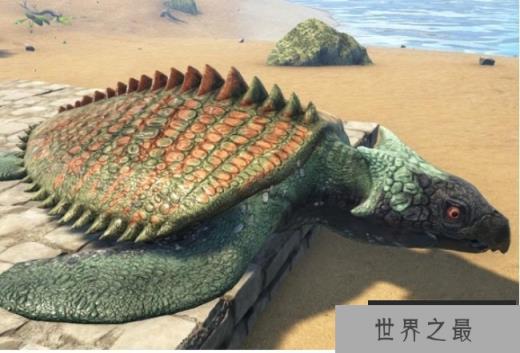 世界史上最大乌龟 古巨龟重达2000多公斤(体长4.1米) 世界史上最大乌龟 古巨龟重达2000多公斤(体长4.1米)