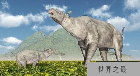 巨犀：地球上生存过的最大的陆地哺乳动物