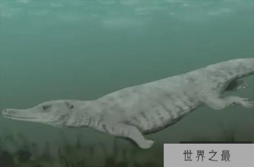 世界上最早的鲸鱼 古蜥鲸是从树上跑下来的(身长18米)