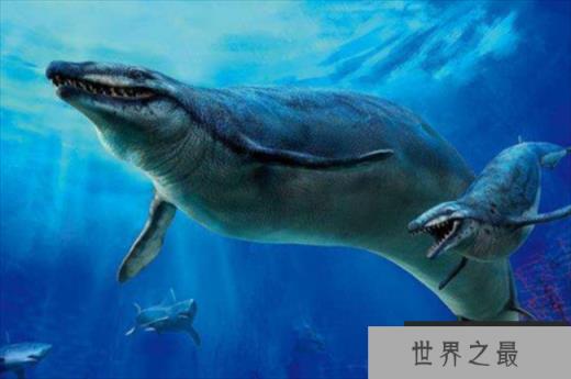 世界上最早的鲸鱼 古蜥鲸是从树上跑下来的(身长18米)