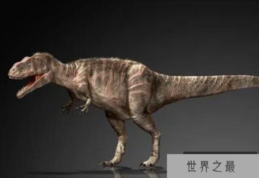 世界上最矮的食肉恐龙 巨兽龙身高只有4米(捕食能力强) 世界上最矮的食肉恐龙 巨兽龙身高只有4米(捕食能力强)