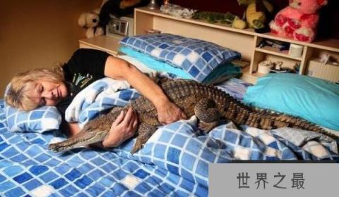 世界上体型最小的鳄鱼 非洲侏儒鳄体长仅1.3米