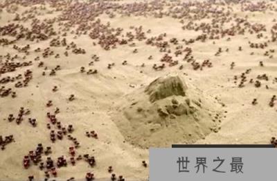 世界上最可怕的蚂蚁,沙漠行军蚁破坏力超强 世界上最可怕的蚂蚁,沙漠行军蚁破坏力超强