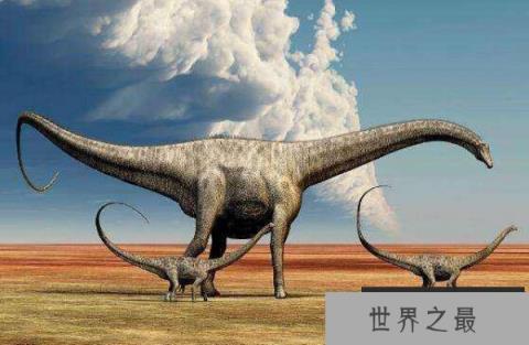 世界上最长的恐龙,地震龙体长可达67米 世界上最长的恐龙,地震龙体长可达67米