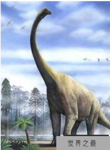 世界上最长的恐龙,地震龙体长可达67米 世界上最长的恐龙,地震龙体长可达67米