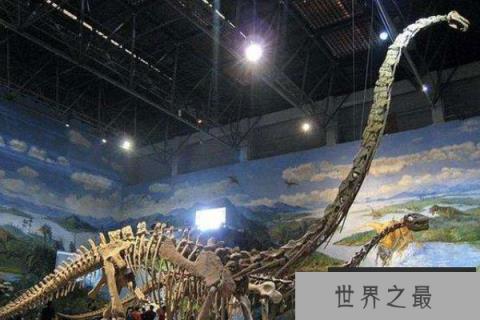 世界上最长的恐龙,地震龙体长可达67米 世界上最长的恐龙,地震龙体长可达67米